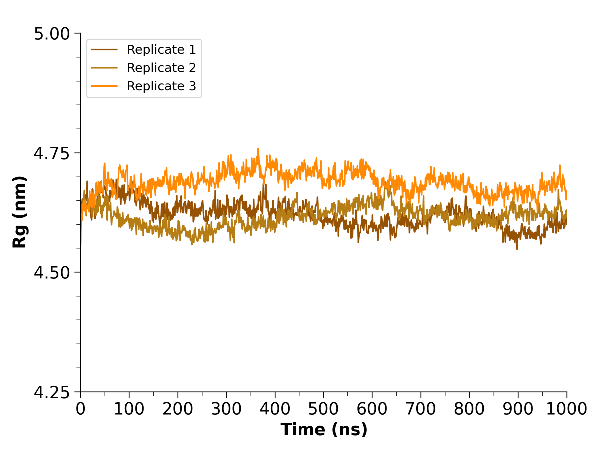 Example of Rg graph with 3 replicates. Rg is plotted as nanometer (nm) versus time (ns).